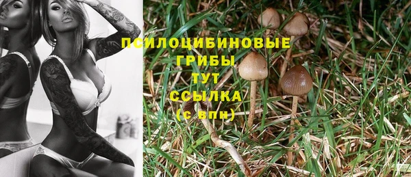 MDMA Алексин