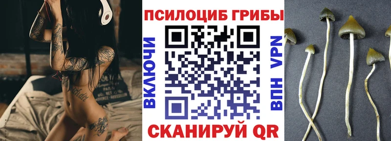 Псилоцибиновые грибы мицелий  shop как зайти  Вышний Волочёк  цены наркотик 